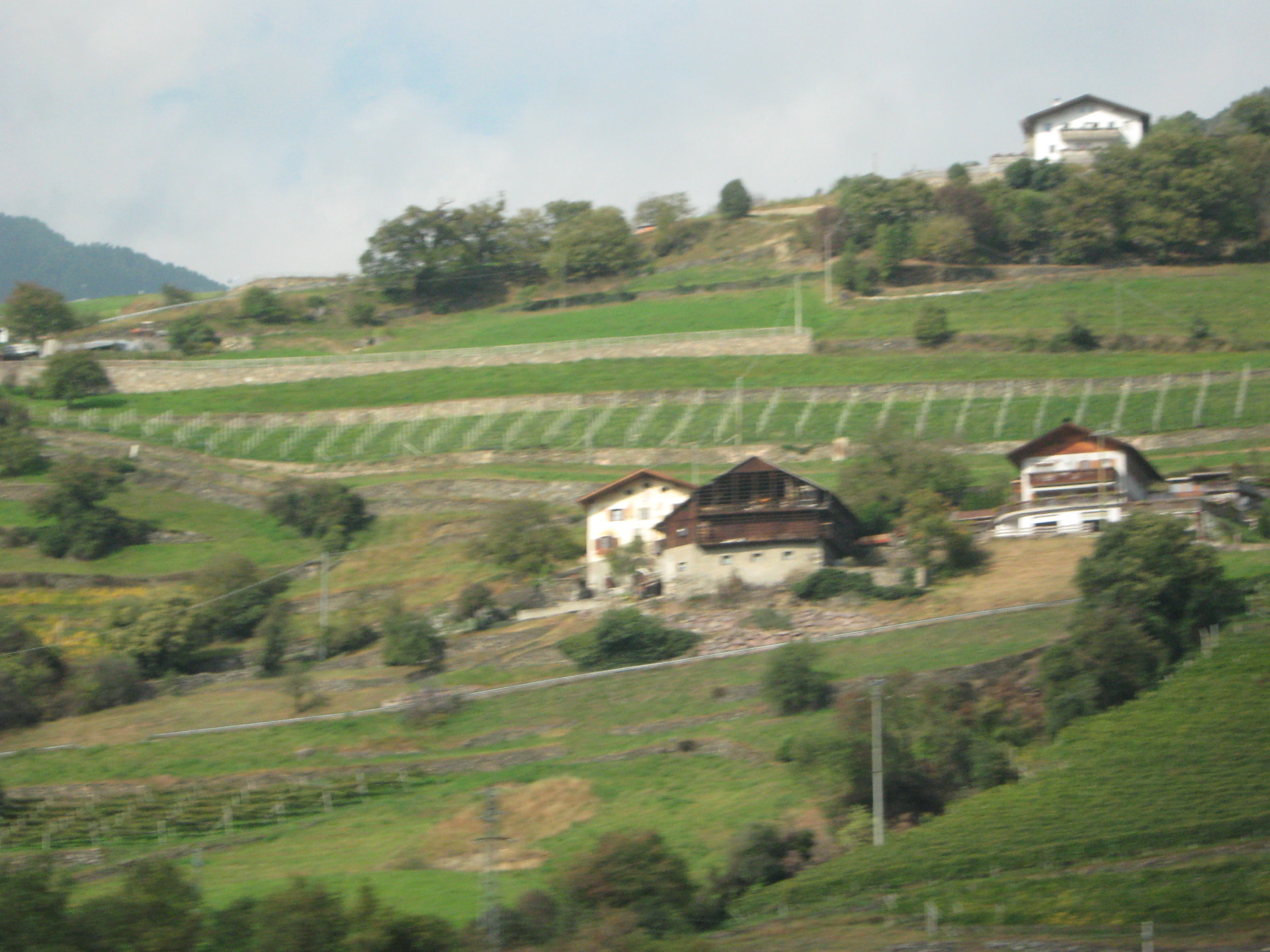 Country Houses Among Vineyards · আঙুরের খেতের মাঝে গ্রামীণ বাড়িঘর, Italy